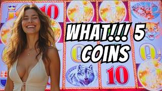 FIVE COINS PAYS OFF ON BUFFALO GOLD SLOT MACHING #2026 #4k