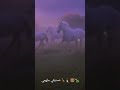 رحلاتي هل يا ترئ سأذكرها مهما جرئ ام ستخون الذاكرة لتصبح حلمآ مقفرة 