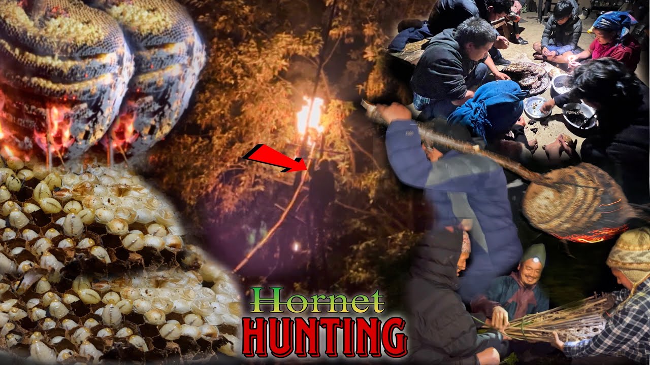 BLACK HORNET HUNTING & COOKING AT VILLAGE WITH NEPALI TRADITIONAL METHODS.