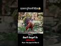 रहस्यमय दुनिया की चिड़िया।🤯~mini wood toy - woodworking art skill / wood / hand crafts / #shorts