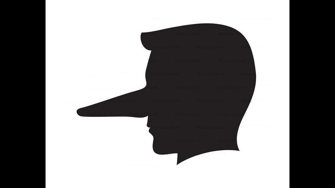 WASHOE COUNTY SELECTIVE ENFORCEMENTS INTIMIDATIONS WILCOX RANCH PROPERTY OWNERS ASSOCIATION