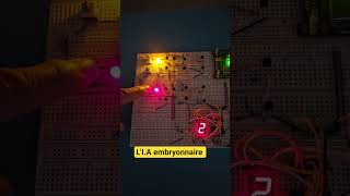 IA EMBRYONNAIRE EARLY STAGE AI ADDER
