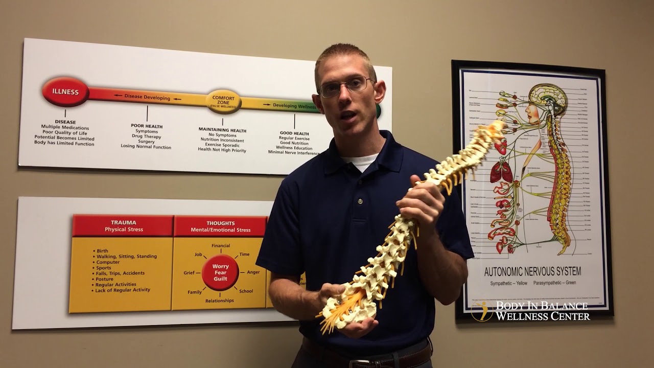 Golden CO Sciatica Pain - The Science Behind Sciatica Pain
