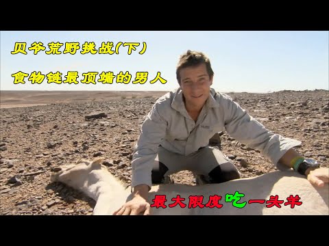 荒野求生：贝爷荒野挑战，食物链最顶端的男人，教你最大限度吃好一头羊（2-2）
