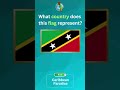 Fun Flag Quiz Guess the Country from the Flag🚩🤔😄 #129 #Shorts#Trending#Viral#ytshorts #quizventur