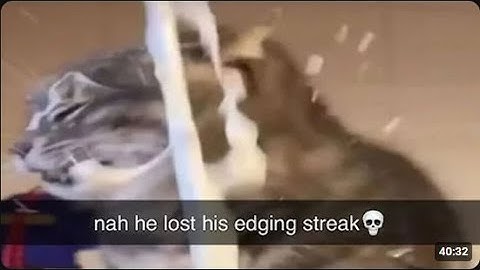 1 hour of memes but it feels like 10 minutes