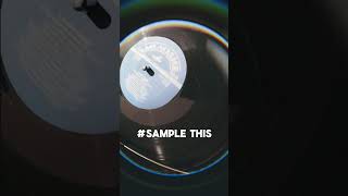 Sample Pack | Loop Kits (1000 wav) #loopkit #samplepack