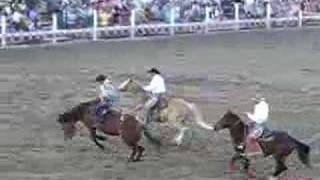 Strawberry Days Rodeo Ride