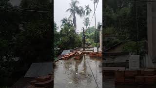 সকাল 8 টা থেকে বনগাঁয় বৃষ্টি চালু সবাই কেমন আছো 🌹🌹🌹🌹🌹