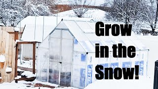 Winter Greenhouse Growing From Seed- January in Zone 6 by Casual Gardening with Dustin 897 views 2 months ago 10 minutes, 9 seconds