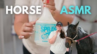 Horse Grooming ASMR!