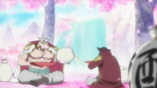 ROGER TALKED TO WHITEBEARD ABOUT THE WILL OF D! - ONE PIECE EPISODE 970
