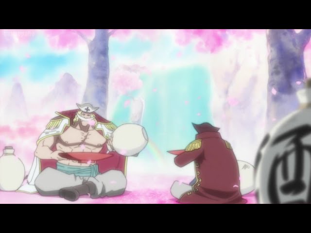 ROGER TALKED TO WHITEBEARD ABOUT THE WILL OF D! - ONE PIECE EPISODE 970 class=