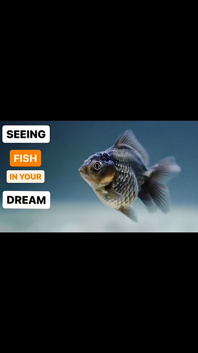 Fish in dreams meaning/ Fish dream meaning #fishdream #dream #meaningofdream