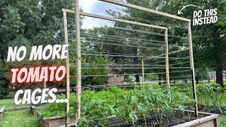 My Favorite Trellis For Any Climbing Plant | Cheap and Simple