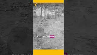 Red Clay Cemeteries #shorts #history #america