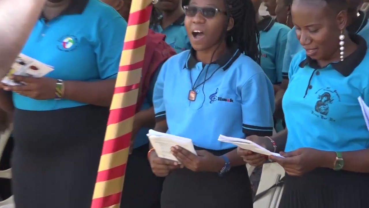 St. Martin's Day 2024