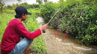 Sensasi Joran Fiber Lentur Untuk Mancing di Selokan #LM29