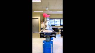 Balloon Magic? Expansion