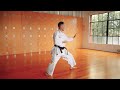 BASSAI DAI SLOW MOTION SHOTOKAN KARATE KATA BASSAI DAI SLOW MOTION SHOTOKAN KARATE KATA