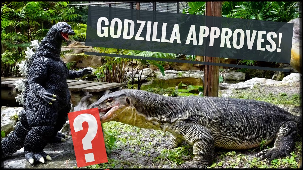 Slinky's BIG Surprise + Huff & Puff get BOLDER!