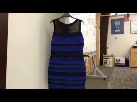 blue and black dress that looks white and gold