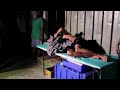 Nauru, la isla de las malas decisiones - YouTube