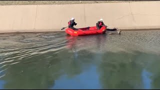 Firefighters Rescue Deer From Canal In Sacramento County