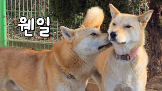 누나가 정신이 이렇게 없다