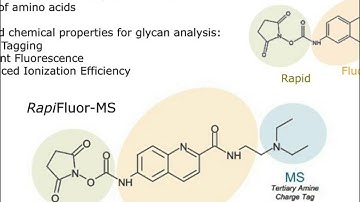 Routine Tools for Mapping Your Glycan Profile