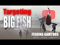 ASFN Rock & Surf - Targeting Big Fish / Sharks at Gamtoos