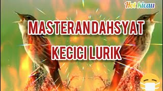 Masteran Kekinian..TEMBAKAN KECICI LURIK