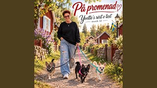 På promenad