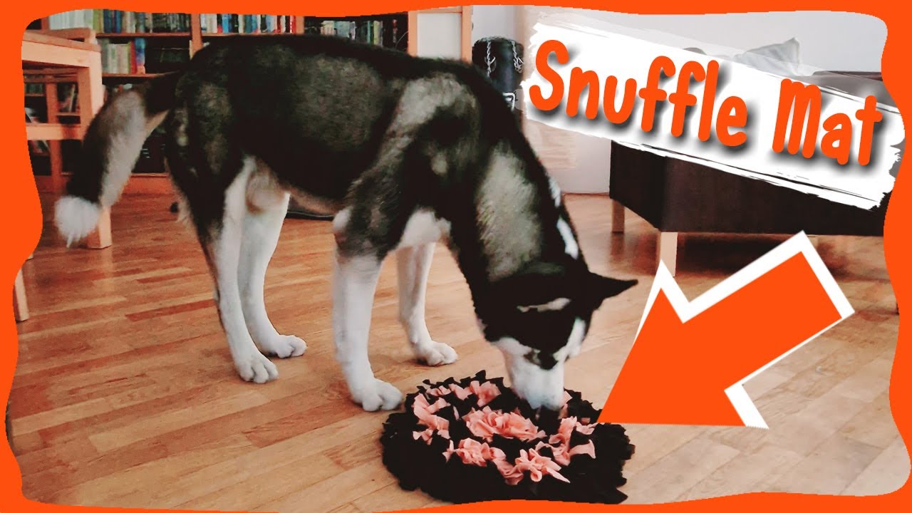DIY Snuffle Mat for Doggos 🐺 No Sewing Machine Needed