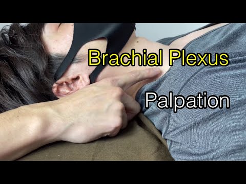 Video: Čo je brachiálny plexus?