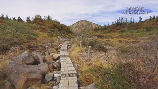 ≪上越妙高百景≫標高2100ｍの庭園　火打山登山道