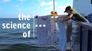 Making drifter buoys and tracking ocean currents with NOAA satellites (even during a Hurricane)