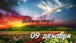 Доброе утро - Выпуск 13 (09.12.2018)