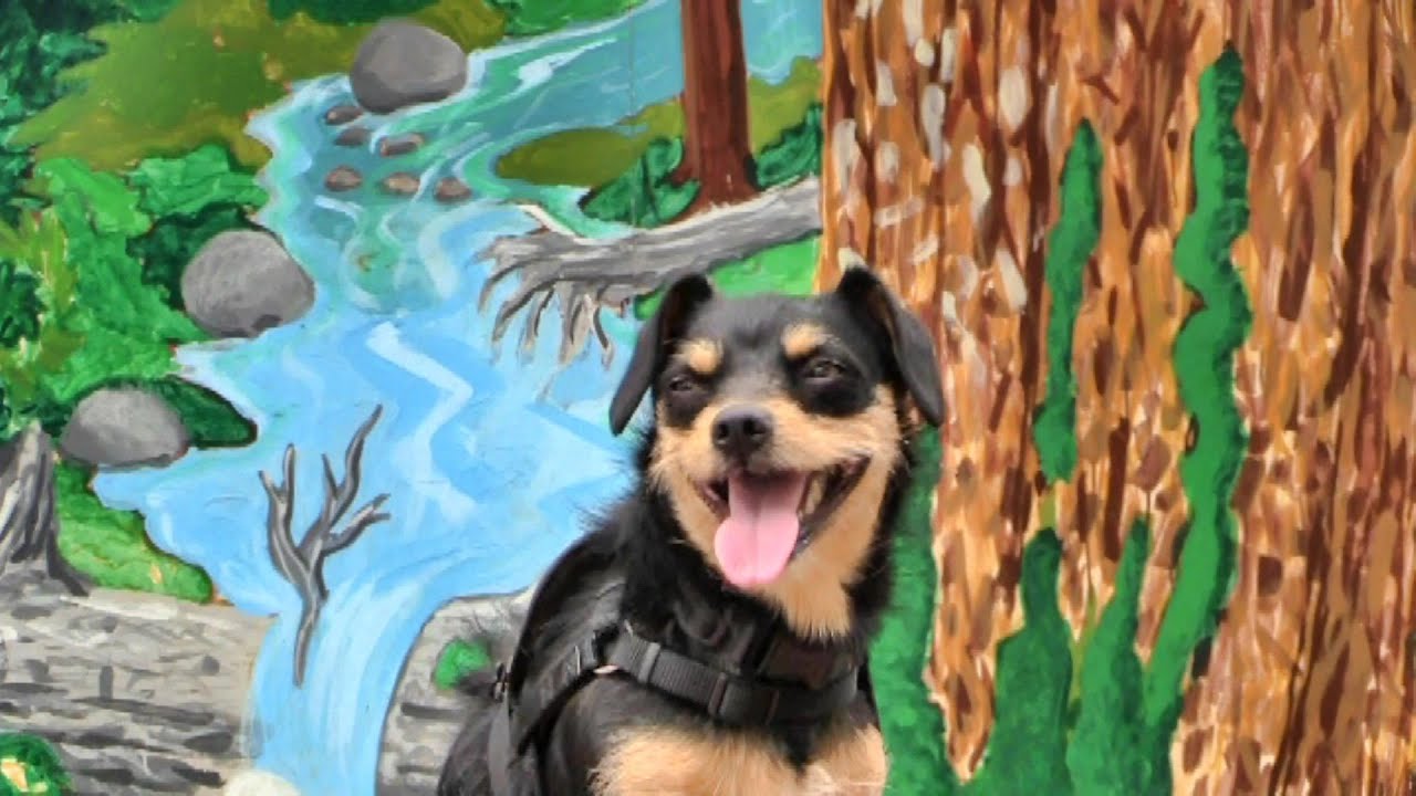 santas MOLLY - ADOPTED