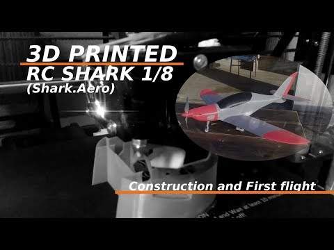 shark rc plane