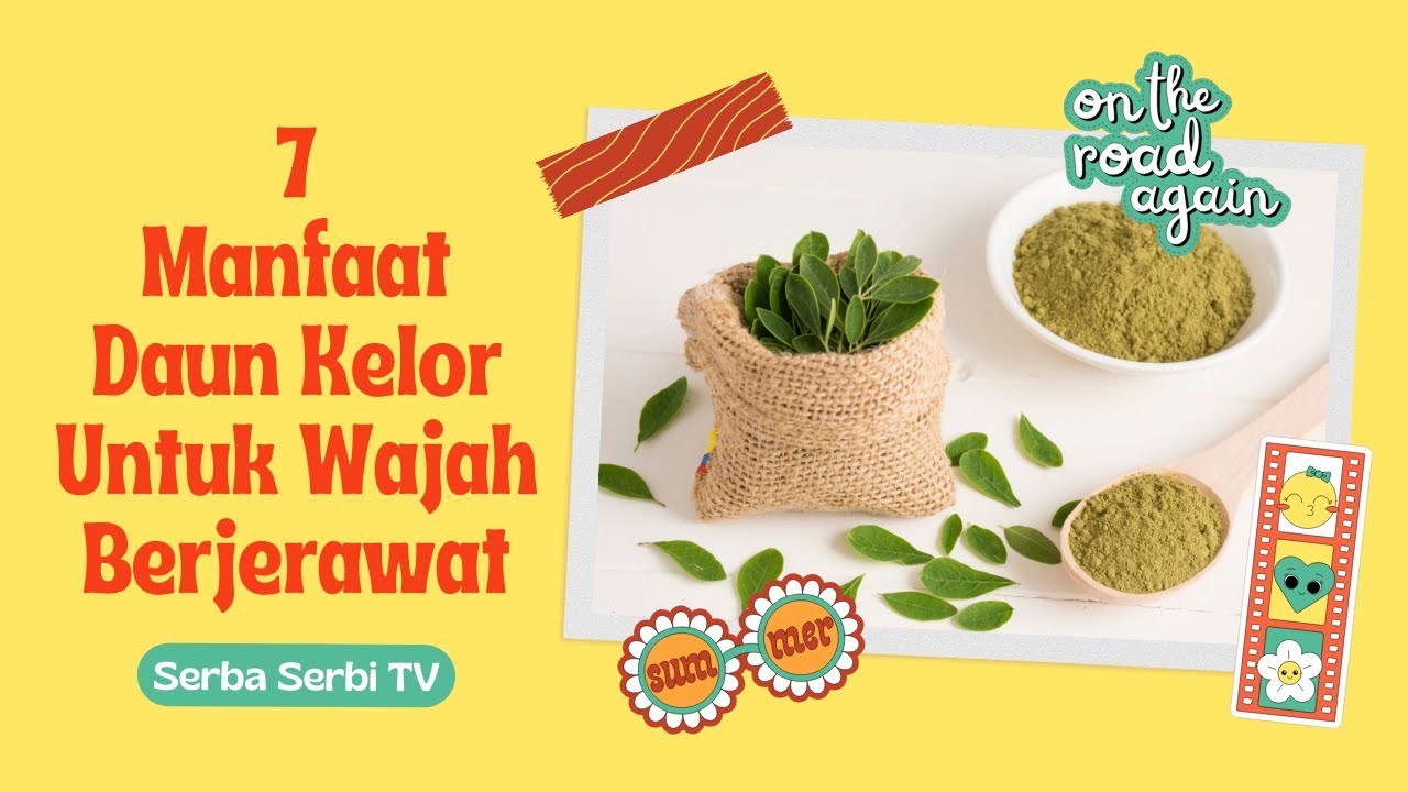 COCOK UNTUK YANG BERJERAWAT! Ini 7 Manfaat Daun Kelor Untuk Wajah