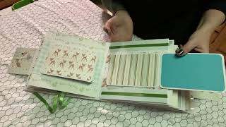 Chunky baby boy album book 4 of 5