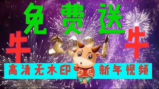 （2021| 牛年新年新春）免费送2021牛年新年新春视频素材合集 无水印高清素材     #小马科技