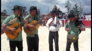 Grupo Variedades del Sur  - Campesino Salsita chords