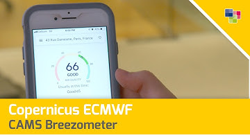Copernicus ECMWF - CAMS Breezometer