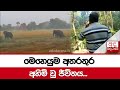 මෙහෙයුම|sin