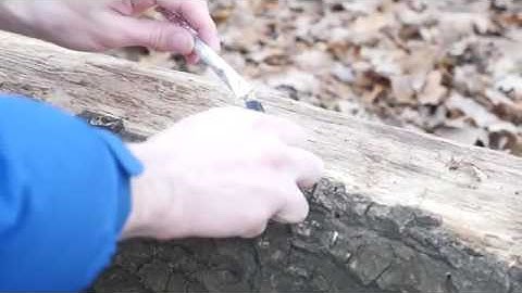 How to publish status on linkedin in PHP