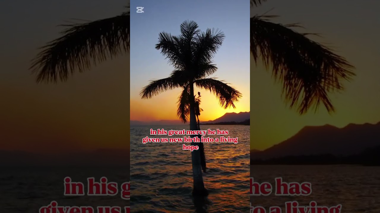  10 Bible Verses That Prove God’s Mercy Never Ends 🙏