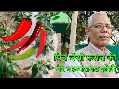 565-Kisankaryashala:मंजुल शुक्ला जी से जानिये गैर पारंपरिक खेती के लिए मानसिकता प्रतिबद्धता का महत्व