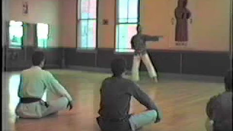 Sensei Coffman at the Shorin-ryu Disciple School i...